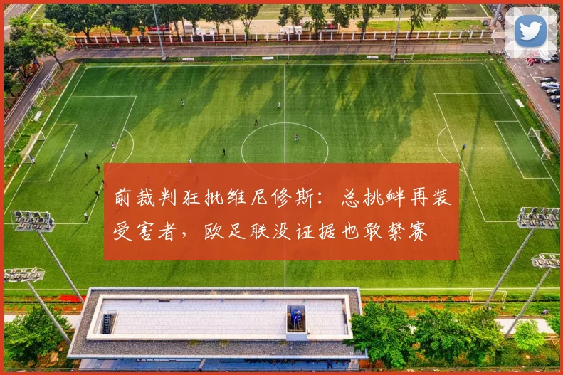 前裁判狂批维尼修斯：总挑衅再装受害者，欧足联没证据也敢禁赛